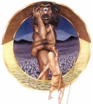 Once Upon A Lockdown (2024)